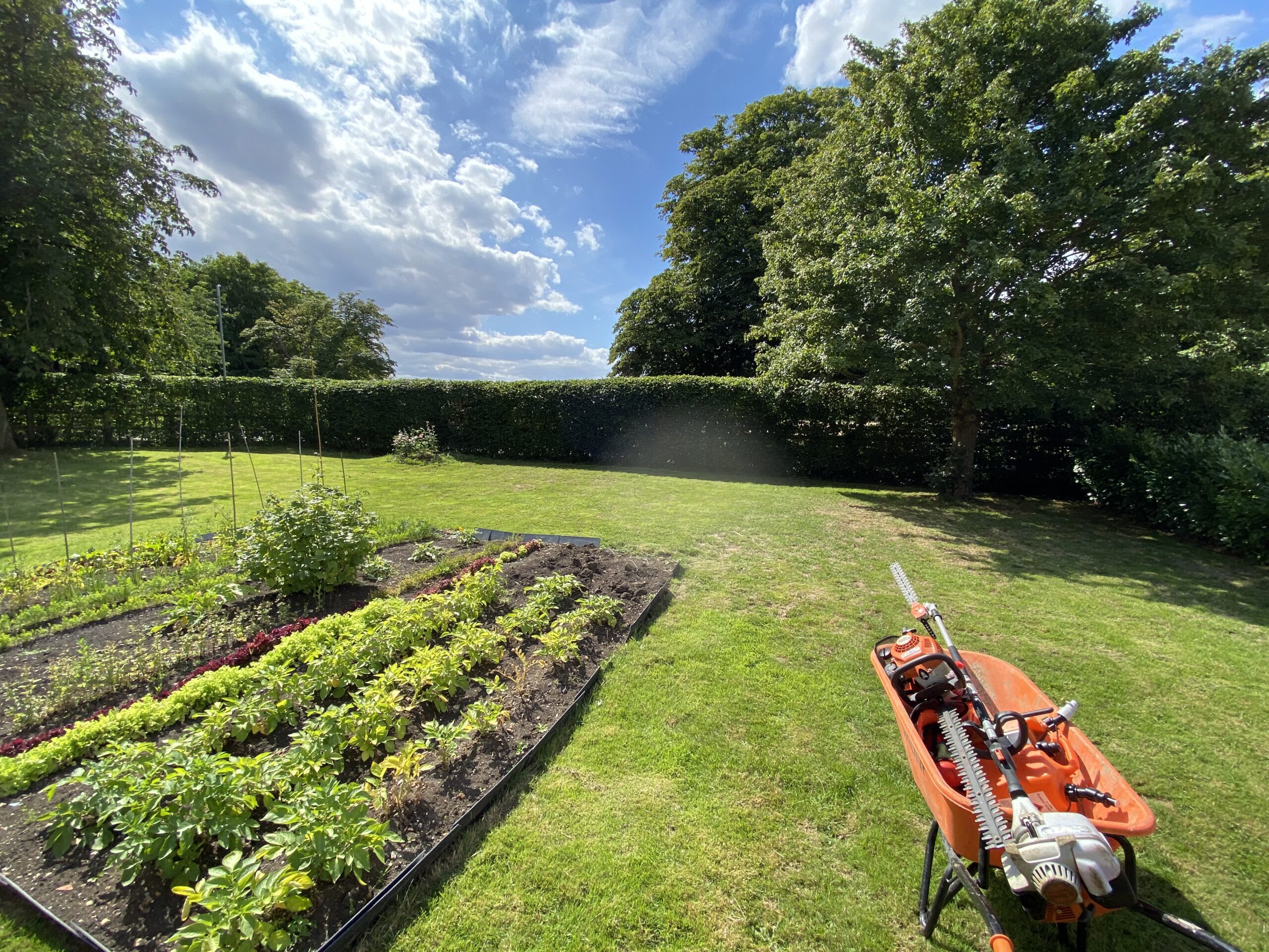 Garden Clearance services by R&D Tree Services in Norwich