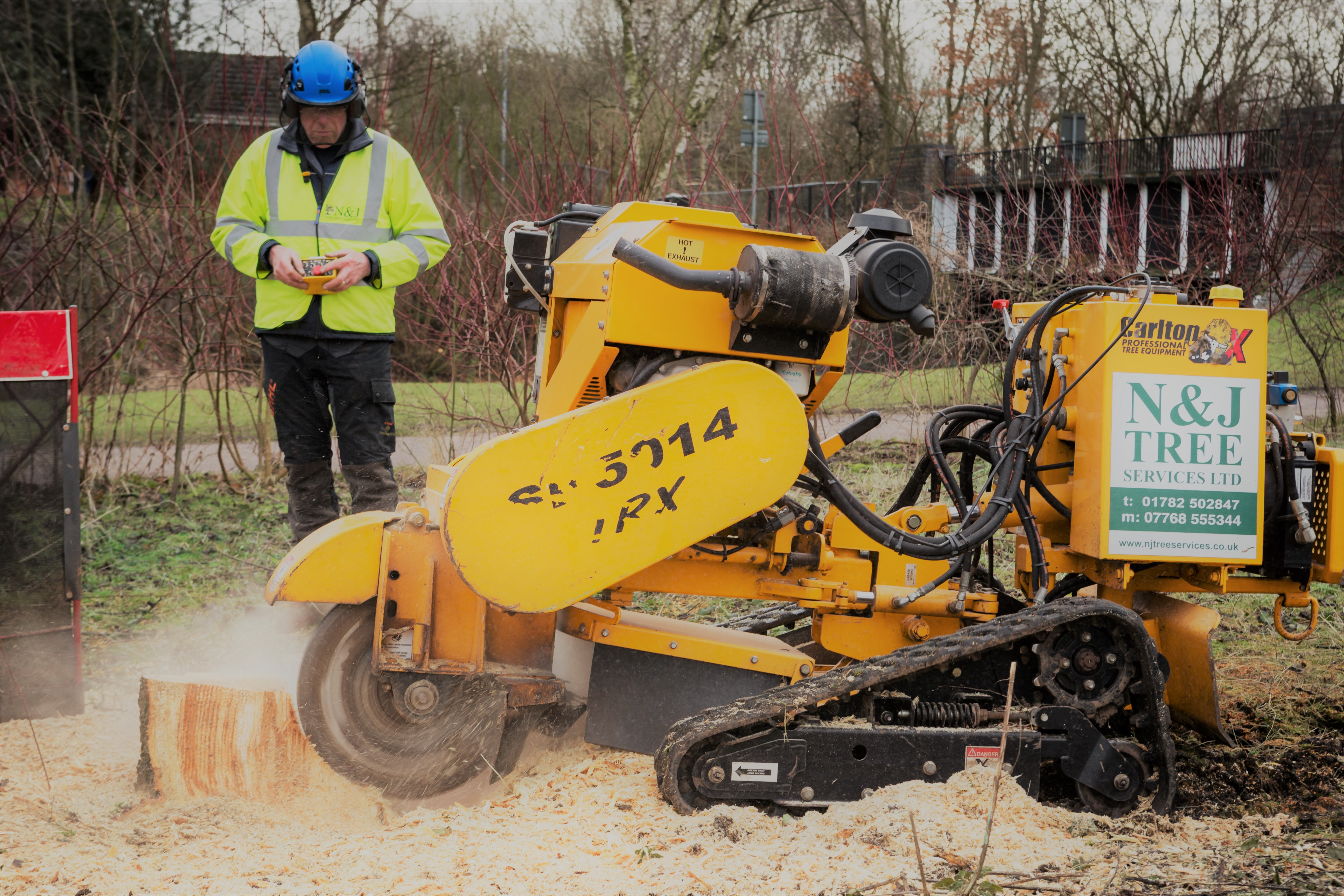 Stump Grinding services by R&D Tree Services in Norwich